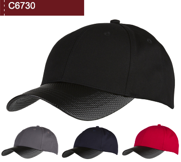 C6730 C6730