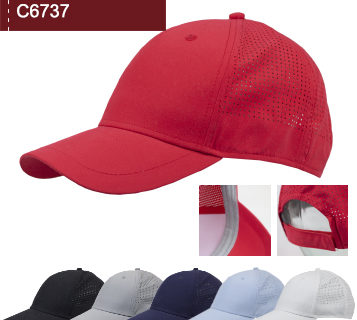 C6737 C6737