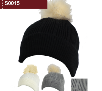 S0015 S0015