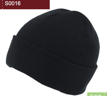 S0016 S0016