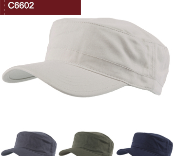 C6602 C6602